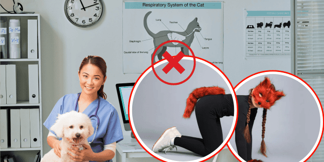 Therian: persona que se identifica como "perro" acude al veterinario por "moquillo"