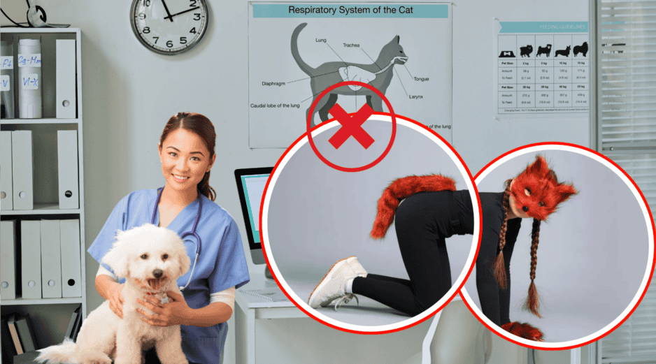 El caso fue relatado por Verónica Veglia, presidenta del Colegio de Veterinarios de San Luis, en declaraciones a la radio LU5.  ESPECIAL/PINTEREST