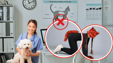 El caso fue relatado por Verónica Veglia, presidenta del Colegio de Veterinarios de San Luis, en declaraciones a la radio LU5.  ESPECIAL/PINTEREST