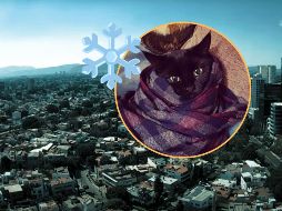 Este fenómeno propiciará lluvias e intervalos de chubascos en algunas zonas del país; te diremos si Guadalajara está incluida. ESPECIAL / Webcams de México / UNSPLASH / J. Hocza