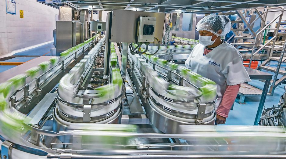 Representantes de la CONCANACO plantearon una transición gradual para garantizar estabilidad laboral y económica. ESPECIAL