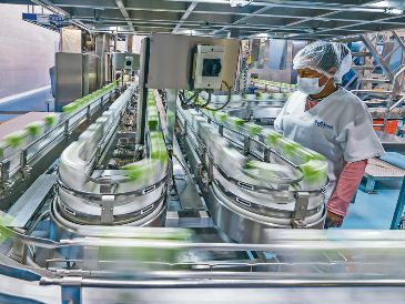 Representantes de la CONCANACO plantearon una transición gradual para garantizar estabilidad laboral y económica. ESPECIAL