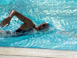 El acceso es completamente gratuito solo deberás presentar una identificación oficial ya sea tu INE o pasaporte vigente para el registro. Unsplash