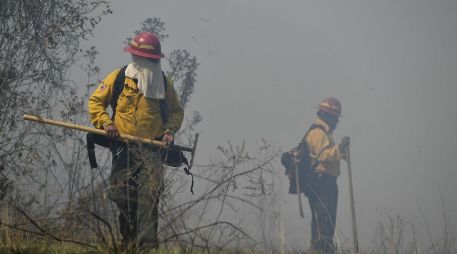 Hasta el momento se desconoce si el incendio en el vertedero de San Juan de los Lagos pudo haber sido provocado. ESPECIAL