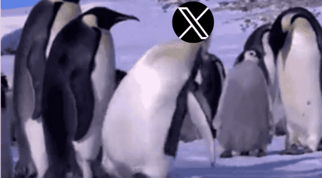 La interrupción no pasó desapercibida: rápidamente se desató una ola de memes en otras plataformas, con usuarios compartiendo burlas y comentarios cargados de humor sobre la situación. ESPECIAL