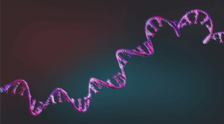 Frente a un mismo virus, algunos anticuerpos aumentan con la edad mientras otros disminuyen. ESPECIAL
