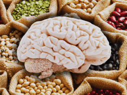 Uno de los alimentos más recomendados para el cuidado de la salud cerebral son las legumbres entre las que se incluyen garbanzos, frijoles, judías, lentejas, soja, habas y guisantes, entre otros. ESPECIAL / CANVA
