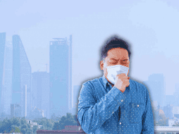 Este martes 17 de febrero deberán suspender su circulación, en horario de las 05:00 a las 22:00 horas, diversos vehículos en CDMX. SUN / ARCHIVO / ESPECIAL / CANVA