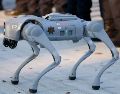 Los "perros robot" fueron adquiridos por el ayuntamiento de Guadalupe, y que alberga al Estadio BBVA, una de las sedes del Mundial 2026. AFP / J. C. Aguilar