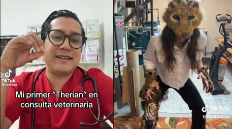 Los Therian están invadiendo las redes sociales. ESPECIAL / TikTok