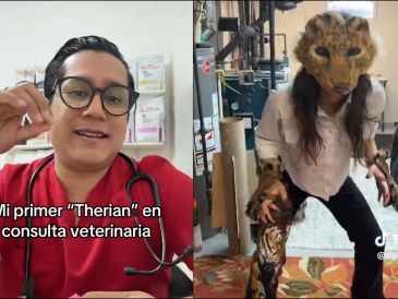 Los Therian están invadiendo las redes sociales. ESPECIAL / TikTok