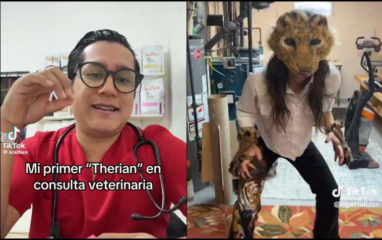 Los Therian están invadiendo las redes sociales. ESPECIAL / TikTok