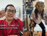 Los Therian están invadiendo las redes sociales. ESPECIAL / TikTok