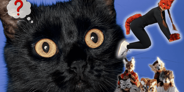 Therian: Gu&iacute;a para entender t&eacute;rminos como "Teriotipo y shifting"