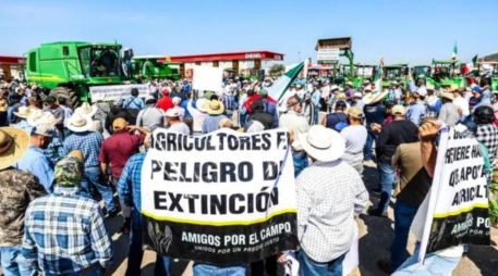Edgar Ortiz De Santiago, presidente del grupo Amigos por el Campo, advirtió que la situación en el sector maicero se ha vuelto insostenible y que los productores enfrentan un panorama cada vez más complicado ante la falta de comercialización del grano. EL INFORMADOR / ARCHIVO