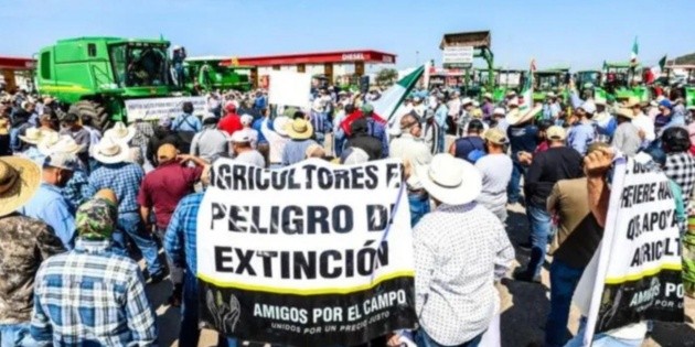 Productores de ma&iacute;z de Jalisco amagan con manifestarse la pr&oacute;xima semana