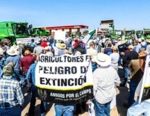 Edgar Ortiz De Santiago, presidente del grupo Amigos por el Campo, advirtió que la situación en el sector maicero se ha vuelto insostenible y que los productores enfrentan un panorama cada vez más complicado ante la falta de comercialización del grano. EL INFORMADOR / ARCHIVO