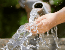 El banco señala que una mayor vigilancia y control estatal podría fortalecer la capacidad de respuesta ante contingencias como sequías, permitiendo redirigir volúmenes hacia regiones o usos prioritarios. CANVA