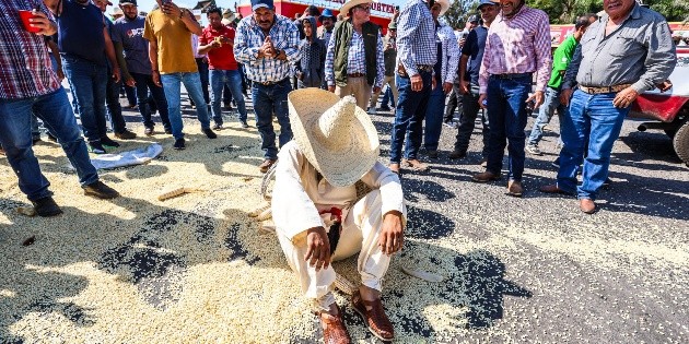 Especialista propone replantear la pol&iacute;tica de comercializaci&oacute;n del ma&iacute;z