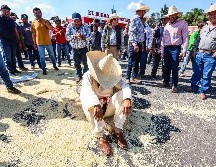 México consume más de 47 mil toneladas de maíz anualmente de las cuales se importan alrededor de 25 mil. EL INFORMADOR/ARCHIVO