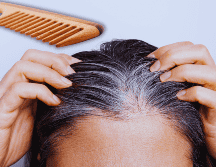 Aunque se sienten más gruesas, las canas no son necesariamente más fuertes. ESPECIAL / CANVA