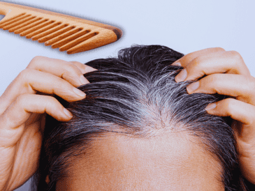 Aunque se sienten más gruesas, las canas no son necesariamente más fuertes. ESPECIAL / CANVA