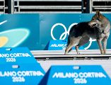 Los organizadores de Milano-Cortina 2026 lograron controlar al animal, que llevaba un collar, para que no pudiera alterar más el desarrollo del evento. EFE / H. Hanschke