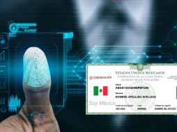 La CURP biométrica pretende reducir el robo de identidad mediante tecnología avanzada. PEXELS/ESPECIAL