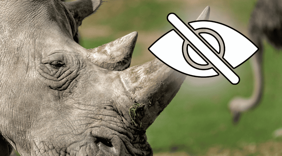 La idea era atraer a Thuza a un espacio reducido con sus alimentos favoritos y luego desensibilizarlo al contacto humano y a que le rociaran agua en la cara. CANVA/ESPECIAL