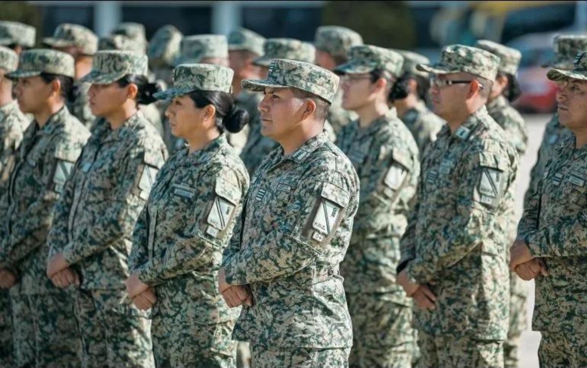 imagen cymkimagen whatsapp image 2026 02 17 at 10 40 18 pm crop1771406512359 jpg 90470980 crop1771503951942.jpg 914869537