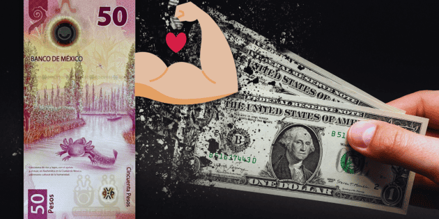 D&oacute;lar HOY: Superpeso imparable; as&iacute; cerr&oacute; la semana tras rev&eacute;s a Trump