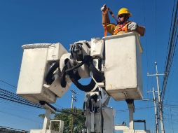 Sobre el rumor de las visitas, se cree que todo comenzó cuando algunos usuarios interpretaron como parte de un 