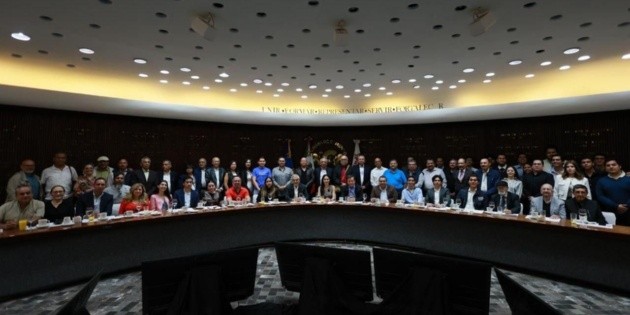 Mery Pozos destaca fortaleza de M&eacute;xico ante el T-MEC