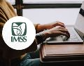 Es recomendable revisar periódicamente tu situación en el portal del IMSS. UNSPLASH.