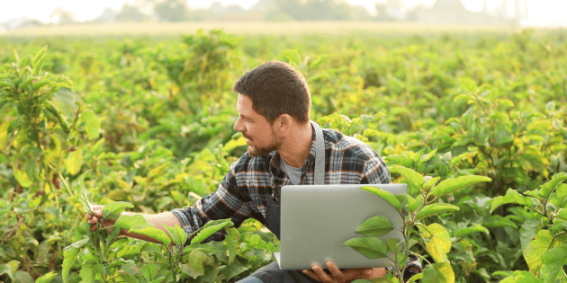 D&iacute;a del Agr&oacute;nomo: Por qu&eacute; se celebra hoy 22 de febrero