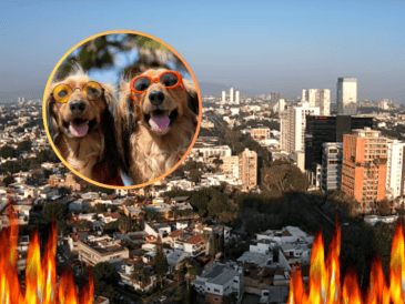 Jalisco seguirá cálido en horas diurnas, fresco por la noche y hasta el amanecer. ESPECIAL / Webcams de México / UNSPLASH / K. Sasaki