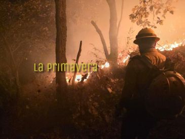 Hasta el momento se desconoce la causa del incendio. ESPECIAL / Protección Civil Jalisco
