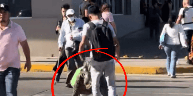 Viral: "Arremeten" f&iacute;sicamente contra therian "cocodrilo" en calles de Tampico