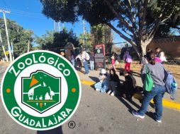 Más de mil personas se quedaron varados al interior del Zoológico de Guadalajara luego de los hechos de violencia registrados ayer en el Área Metropolitana de Guadalajara y Jalisco.
EL INFORMADOR / O. González
