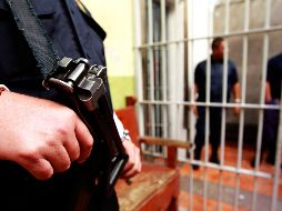 El secretario de Seguridad informó que la situación fue controlada tras el envío de refuerzos estatales a Puerto Vallarta. EL INFORMADOR/ARCHIVO