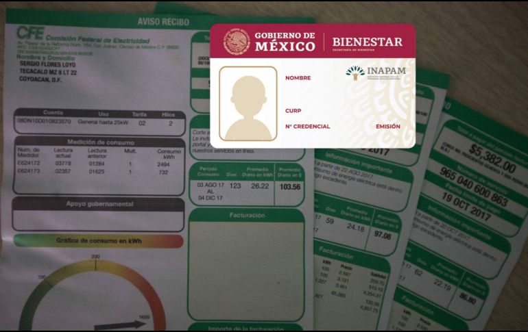 La credencial del INAPAM, de vigencia permanente, es un instrumento diseñado para facilitar el acceso a apoyos y promociones en diversos sectores. EL INFORMADOR/ARCHIVO