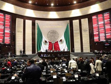 El dictamen se aprobó sin modificaciones y contempla una implementación paulatina hasta 2030. EFE/ Madla Hartz