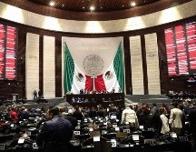 El dictamen se aprobó sin modificaciones y contempla una implementación paulatina hasta 2030. EFE/ Madla Hartz