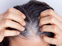 Las canas son naturales y no siempre aparecen por edad, también influyen la genética. CANVA