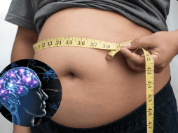 La grasa persistente no siempre es resultado de falta de disciplina. Factores como la genética, la resistencia a la insulina o alteraciones hormonales también influyen.  CANVA