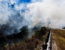 El siniestro permanecía sin control hasta la mañana de este martes y avanzaba en el condado de Collier. EFE/CRISTOBAL HERRERA-ULASHKEVICH
