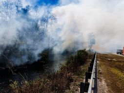 El siniestro permanecía sin control hasta la mañana de este martes y avanzaba en el condado de Collier. EFE/CRISTOBAL HERRERA-ULASHKEVICH