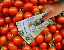 Buena parte del aumento en verduras se debió al precio del jitomate, que suele caer en los dos primeros meses del año, pero en esta ocasión no fue así. ESPECIAL / CANVA