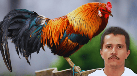 Aunado a ello, existe una canción llamada: 