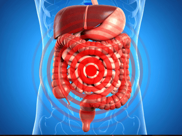 Si estos síntomas aparecen con frecuencia, especialmente después de comer, conviene prestar atención a los hábitos alimenticios y consultar con un profesional de la salud. CANVA